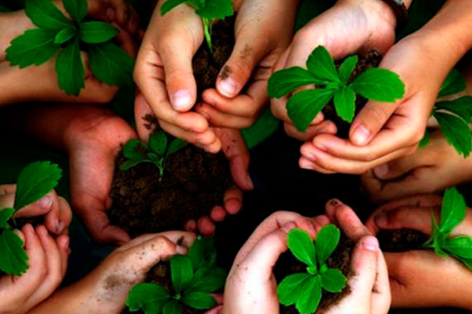 GESTIÓN AMBIENTAL